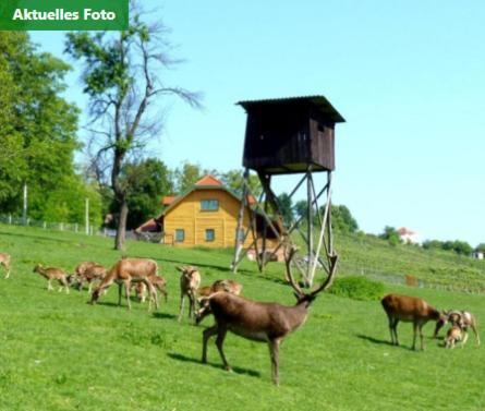 Ferienwohnung Kuca Za Odmor Slamek Sveti Martin Na Muri Exterior foto